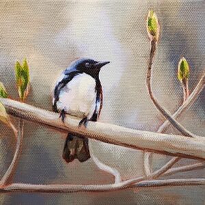 Painting of a small black bird with a white belly sitting on a branch. The background has softly blended areas of cream, beige, and grey.