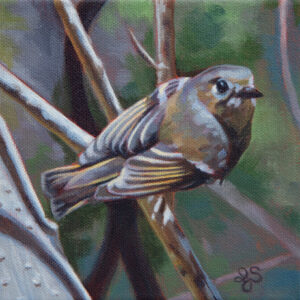 Painting of a small bird with yellow ochre, blue-grey and brown body, looking over its shoulder. The bird is standing on a bare branch and the background is a soft mix of greens and blue-grey.