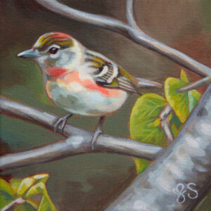 Painting of a small bird with yellow ochre, brown and cream body and peachy-red along its neck and side and on top of its head. The bird is standing on a branch with green leaves and the background is a soft mix of browns, rust and green.