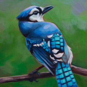 Painting of a blue jay standing on a bare branch, looking over its shoulder. The background is a soft mix of greens.