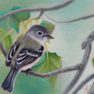 Painting of a small bird with a beige body, grey head and tail, and black and white wings sitting on a branch with green leaves. The background is a soft mix of cream, turquoise and green.