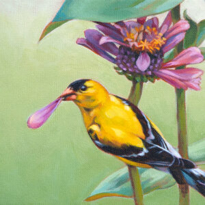 A painting of an American Goldfinch, perched on the stem of a pink flower, holding a petal in its beak.