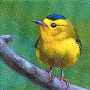 A painting of a Wilsons Warbler on a branch.