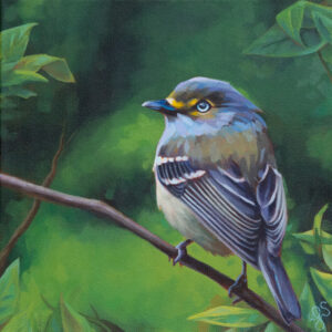Painting of a White-eyed Vireo, sitting on a branch, surrounded by green leaves.