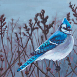 A painting of a Blue Jay in a dark and gloomy patch of wintery branches.