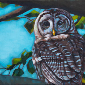 A painting of a Barred Owl, sitting in a tree branch with leaves and blue sky behind it.