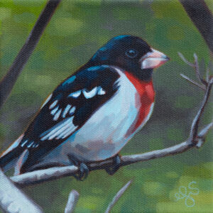 A painting of a Grosbeak standing on a bare branch with dark green foliage behind it.