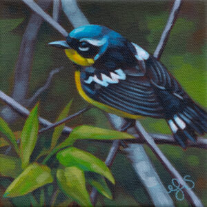A painting of a Magnolia Warbler standing on a bare branch with a cluster of leaves below it. The bird has its back to the viewer.