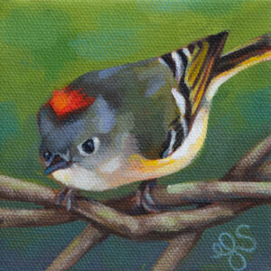 A painting of a Ruby-crowned Kinglet, showing its red tuft of feathers on its head.