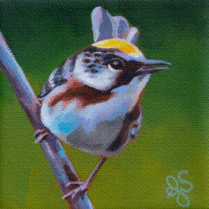A painting of a Chestnut-sided Warbler, standing on a small branch.