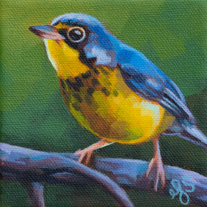 A painting of a Canada Warbler on a branch.