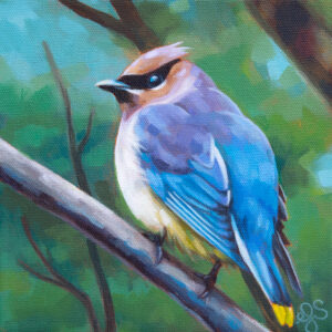 A painting of a Cedar Waxwing standing on a bare branch, with dark greenery in the background.