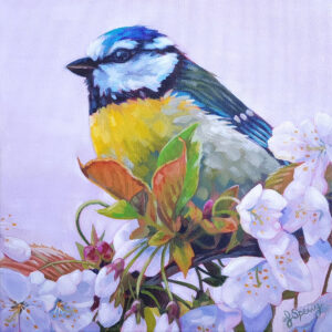 Painting of a Blue Tit, perched on a branch covered in white blossoms.