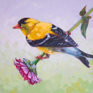 A painting of an American Goldfinch perched on the stem of a pink flower.