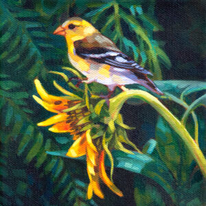 A painting of an American Goldfinch, perched on the stem of a sunflower.