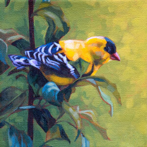 A painting of an American Goldfinch, perched on a leafy plant.