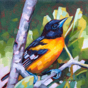 Painting of a Baltimore Oriole in a tree with greenery behind.