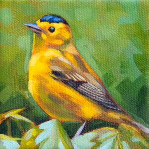 A painting of a Wilsons Warbler perched atop green leaves, with a green background.