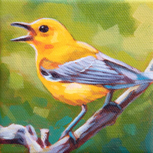 A painting of a Prothonotary Warbler, singing on a branch.