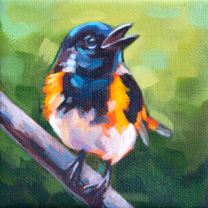 A painting of an American Redstart on a branch with a green background.