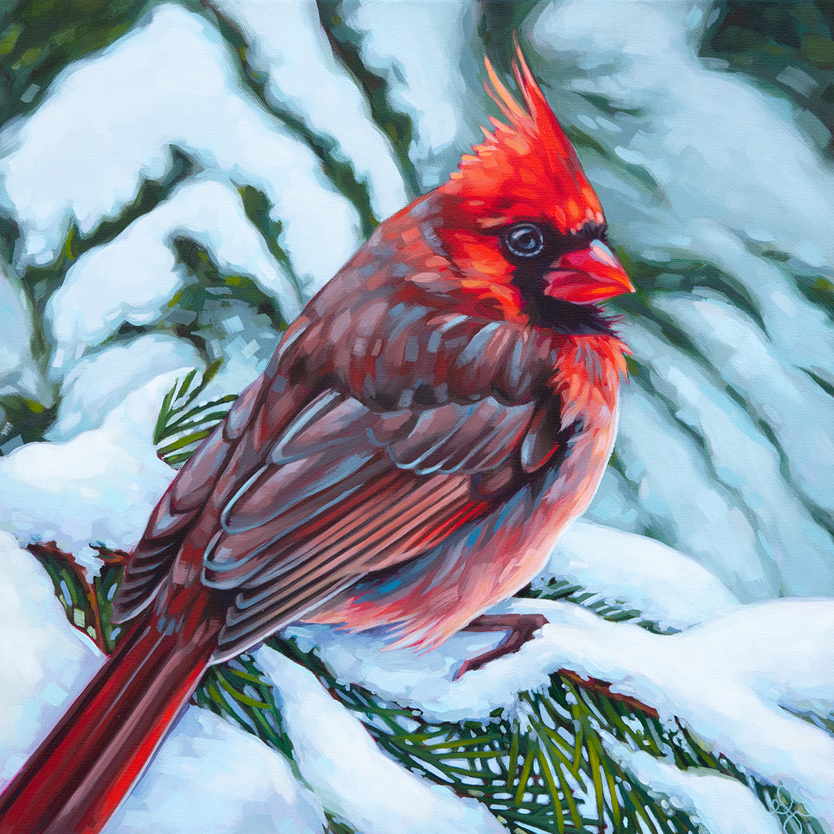 A painting of a Northern Cardinal on a snow-covered evergreen branch.
