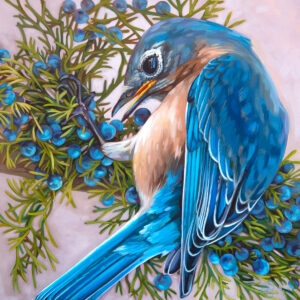 A painting of an Eastern Bluebird on a branch full of blue berries.