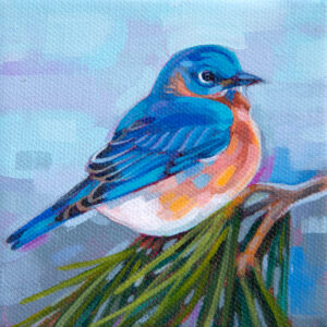 A painting of an Eastern Bluebird perched on a branch of evergreen needles.
