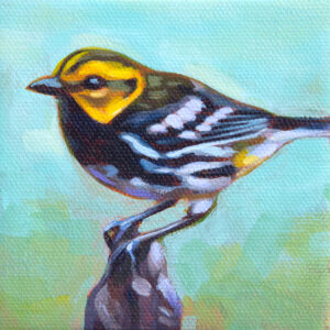 A painting of a Black-throated Green Warbler.